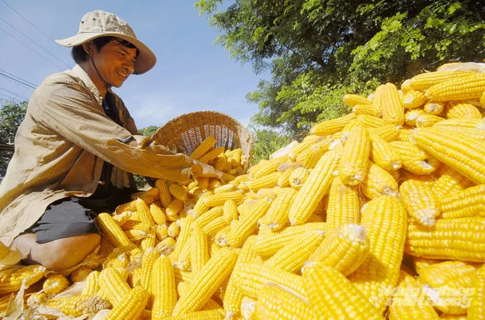  Gene editing technology drives agricultural research and development